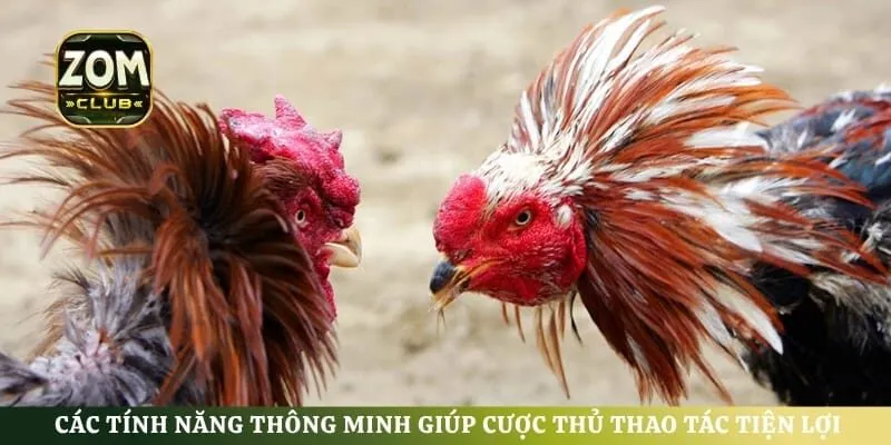 Các tính năng thông minh giúp cược thủ thao tác tiện lợi trên màn hình