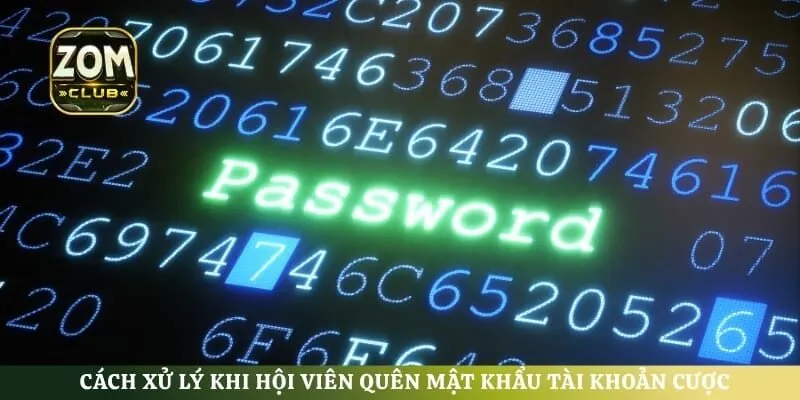 Cách xử lý khi hội viên quên mật khẩu tài khoản cược