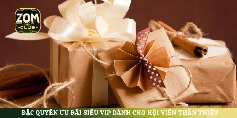 Đặc quyền ưu đãi siêu VIP dành cho hội viên thân thiết