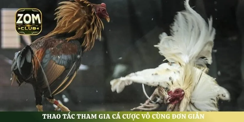 Thao tác tham gia cá cược vô cùng đơn giản dành cho thành viên mới
